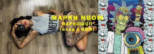 дмт Белокуриха