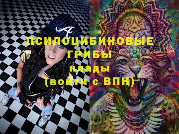 дмт Белокуриха